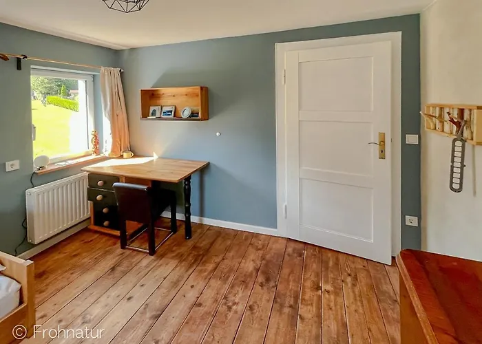 Tolles Frohnatur Mit Sauna In Ruhiger Lage Apartment Plauen